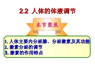 人体的体液调节