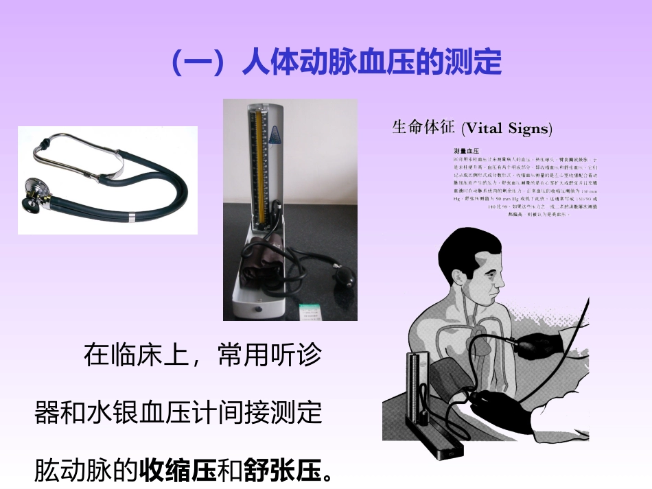 人体心电血压和肺功能测定_第2页