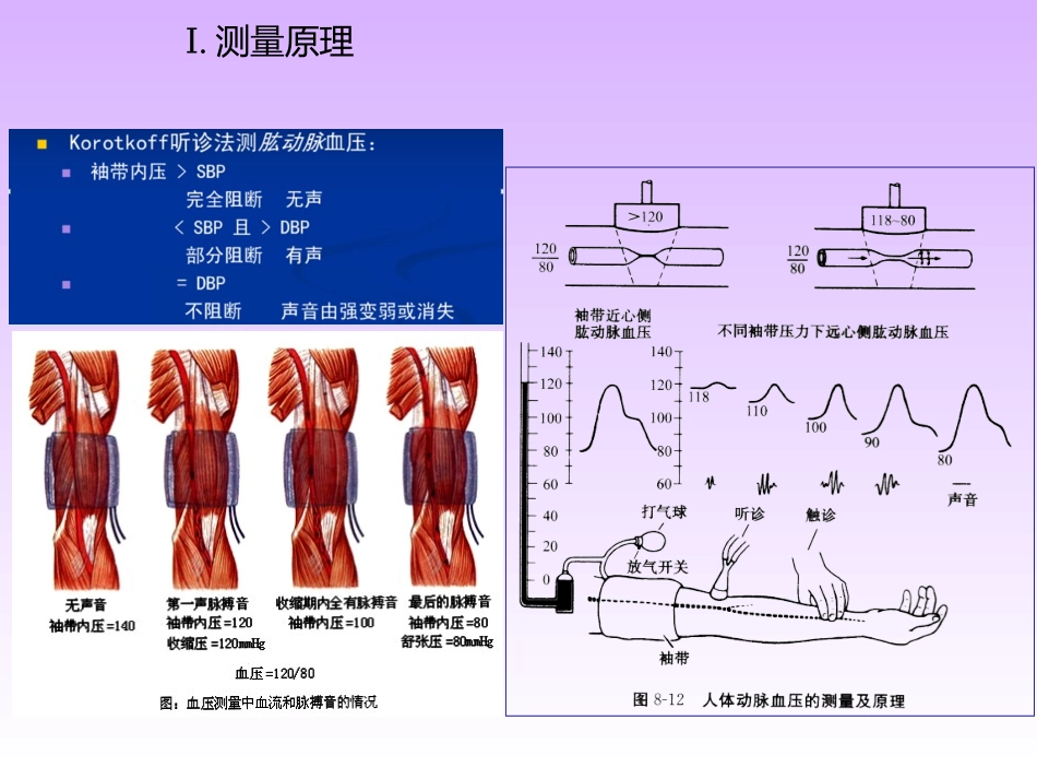 人体心电血压和肺功能测定_第3页