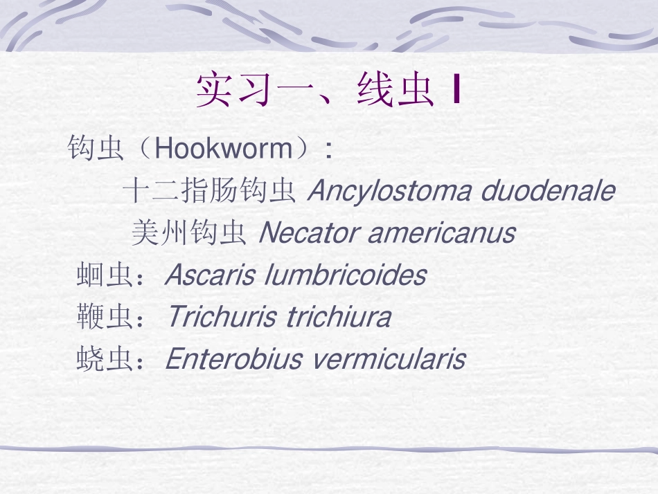 人体寄生虫学实习课_第2页
