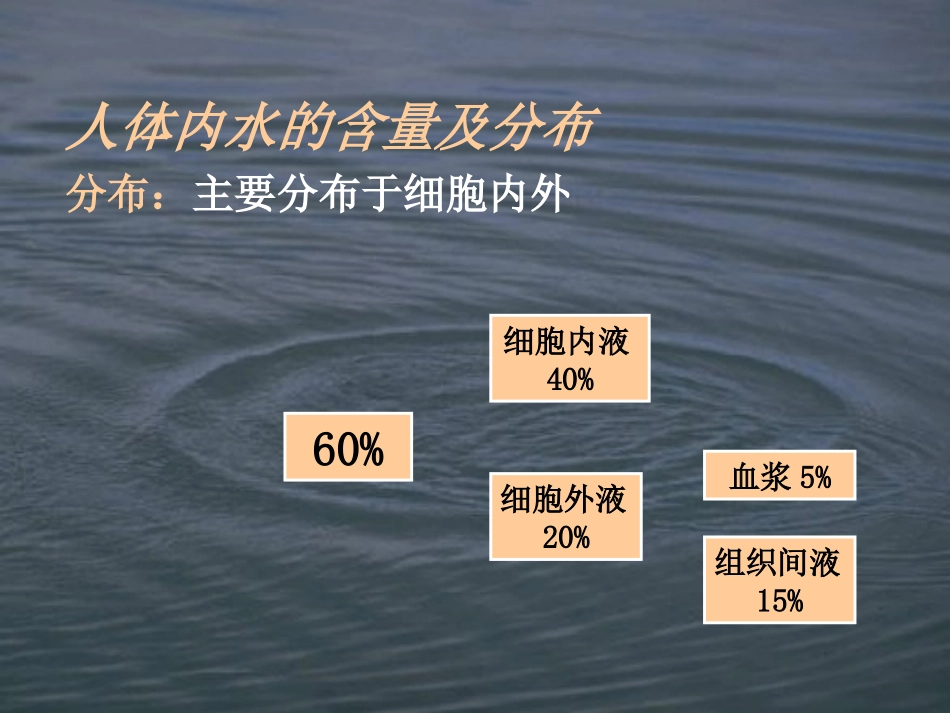 人体对水的需要_第2页