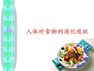 人体对食物的消化吸收