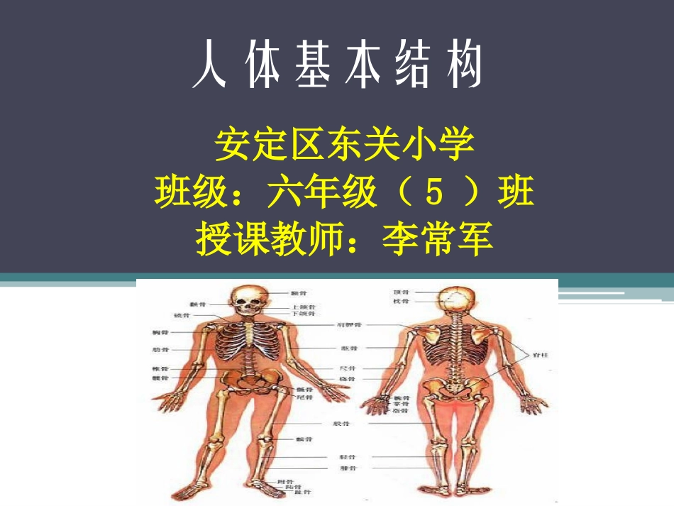 人体基本结构_第1页