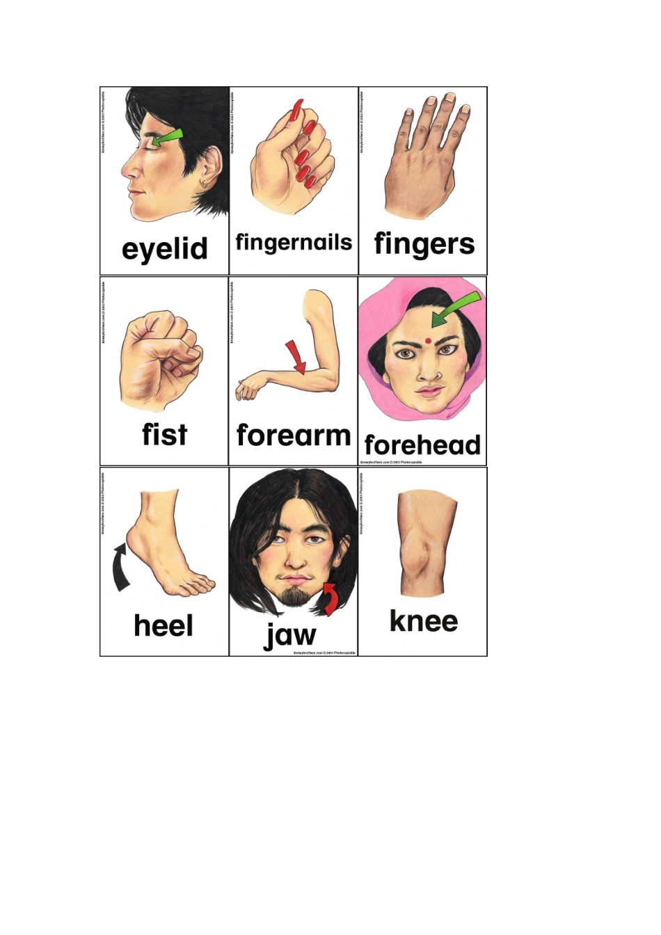 人体各部位--图片_第2页