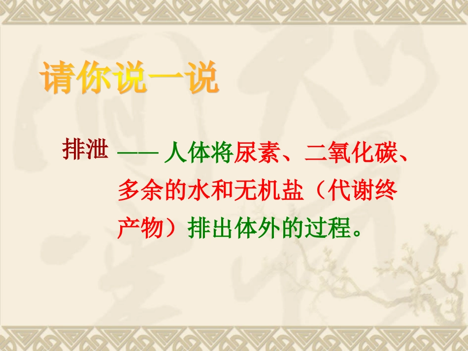 人体内废物的排出ppt_第3页