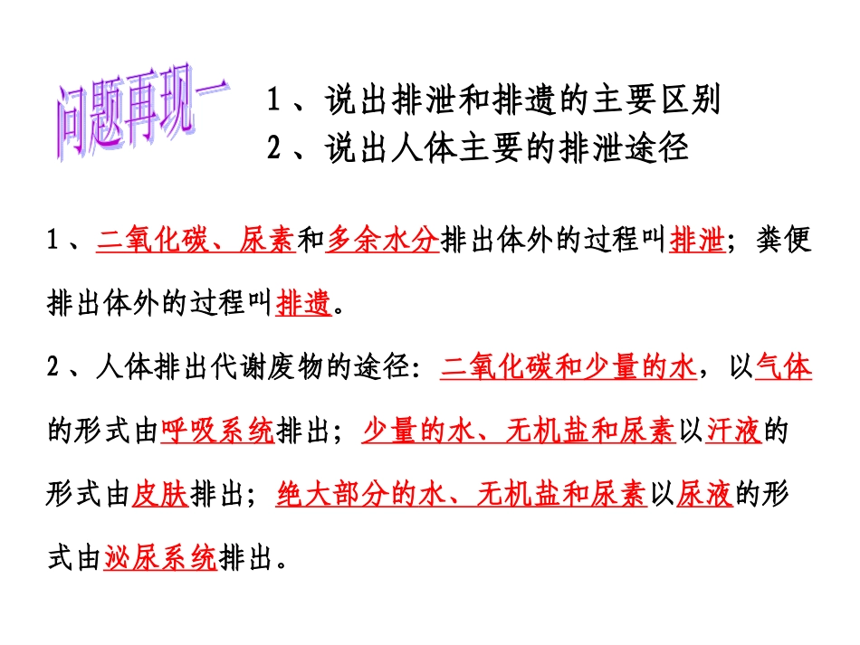 人体内废物的排出(共32张PPT)_第2页