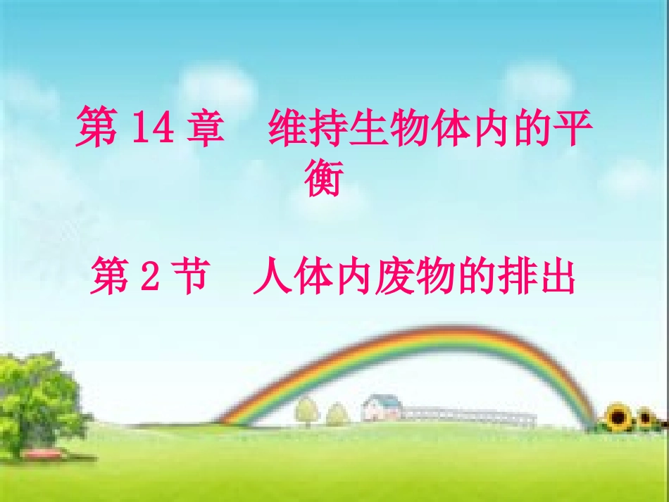 人体内废物的排出_第1页