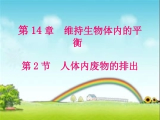 人体内废物的排出
