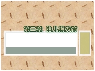 人体发育学02胎儿期
