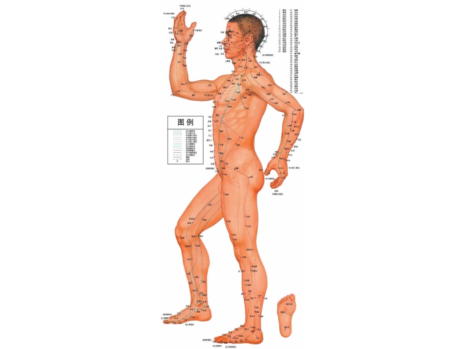 人体全身穴位图解全解_第3页