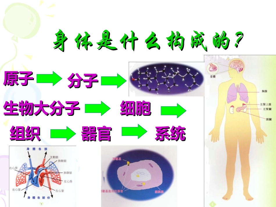 人体八大系统_第3页