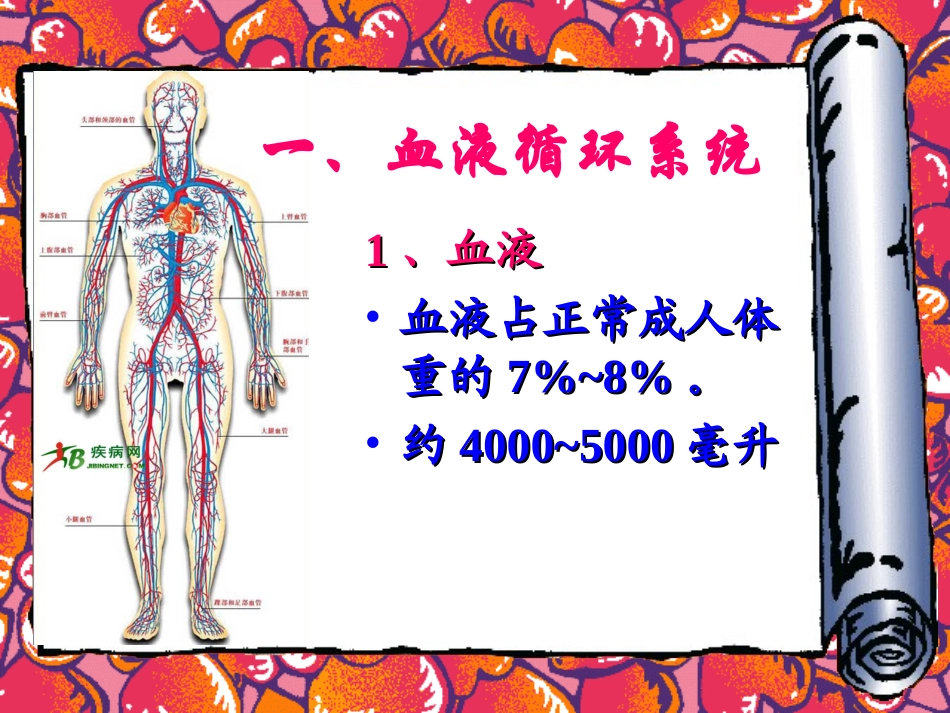 人体八大系统——循环系统_第3页