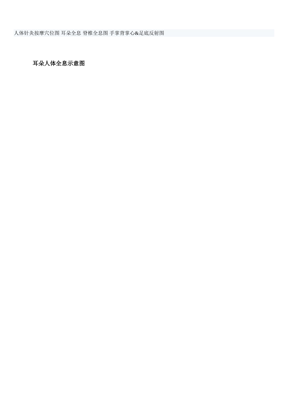 人体全息示意图_第1页