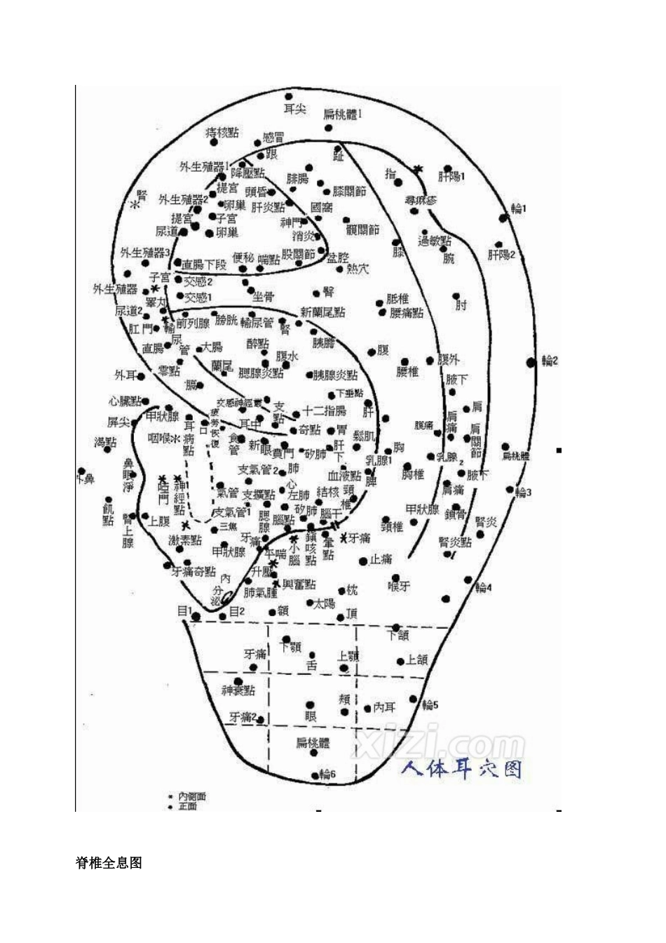 人体全息示意图_第2页