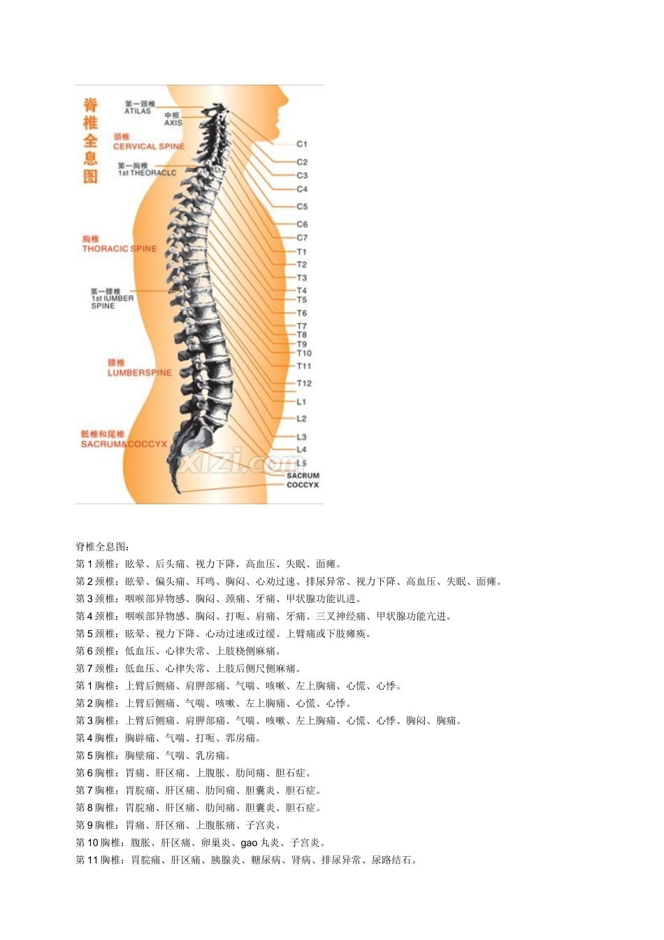 人体全息示意图_第3页