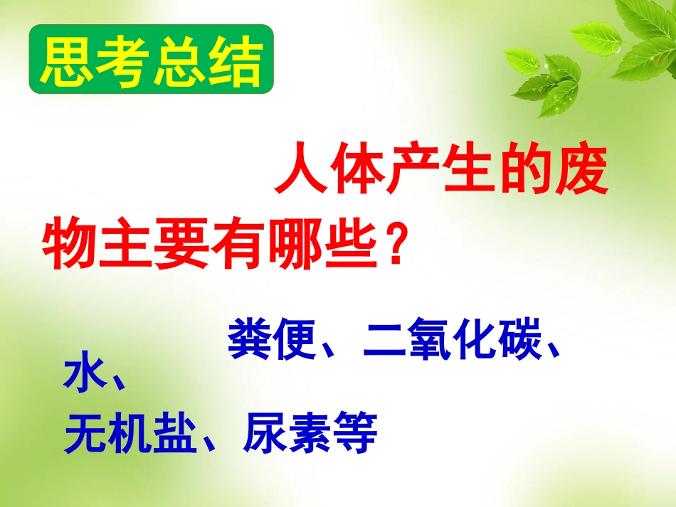 人体代谢废物的排出_第2页