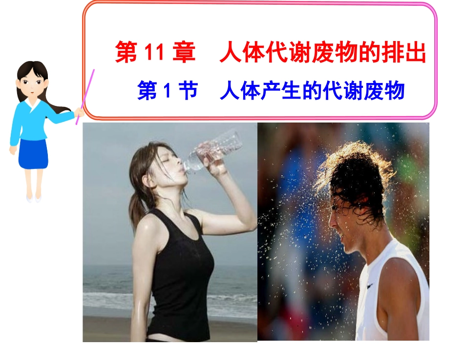 人体代谢废物ppt_第1页