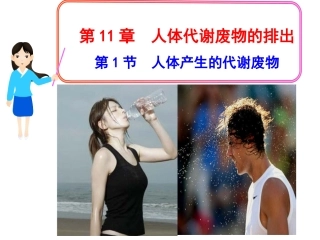 人体代谢废物ppt