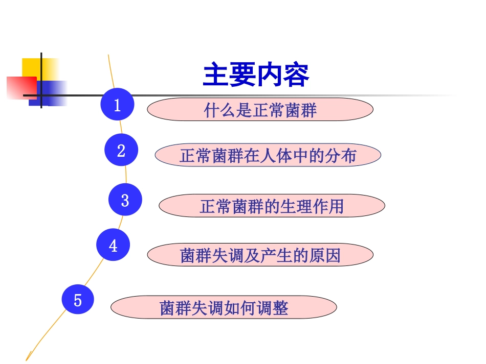 人体中的正常菌群概要_第3页