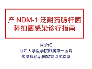 产NDM-1泛耐药肠杆菌科细菌感染诊疗指南