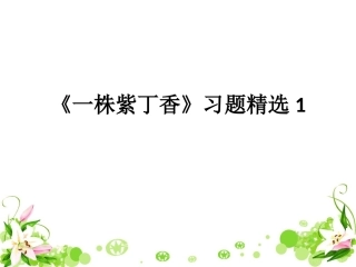 《一株紫丁香》习题精选1