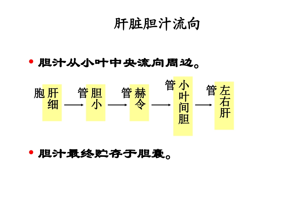 五年制肝不全功能-pp新版t_第3页