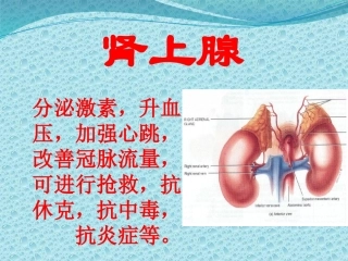五脏六腑的功能