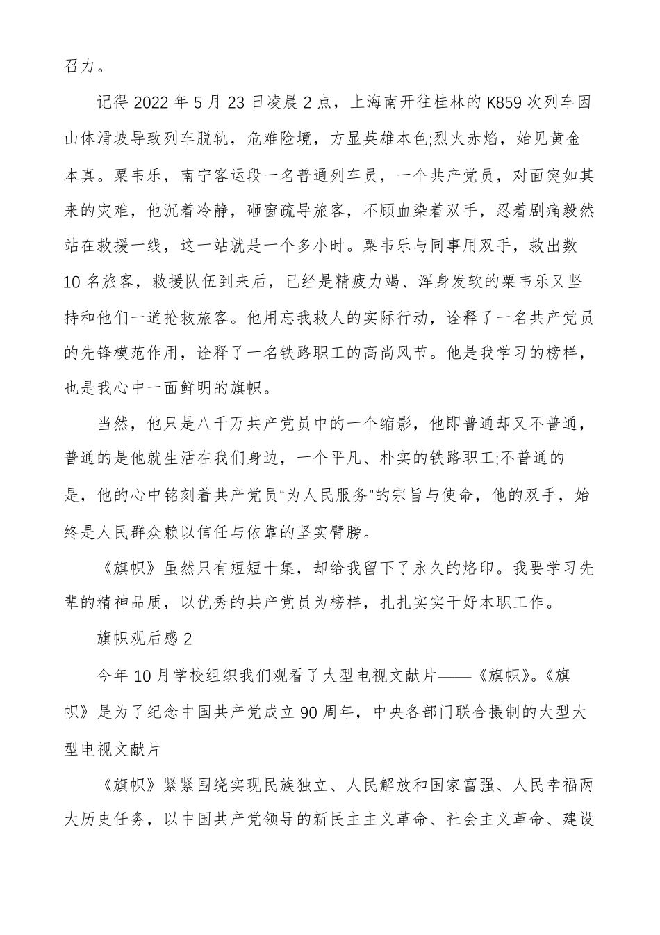 旗帜观后感精选_第2页