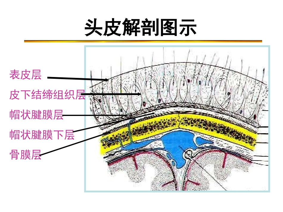五、头颈部损伤_第2页