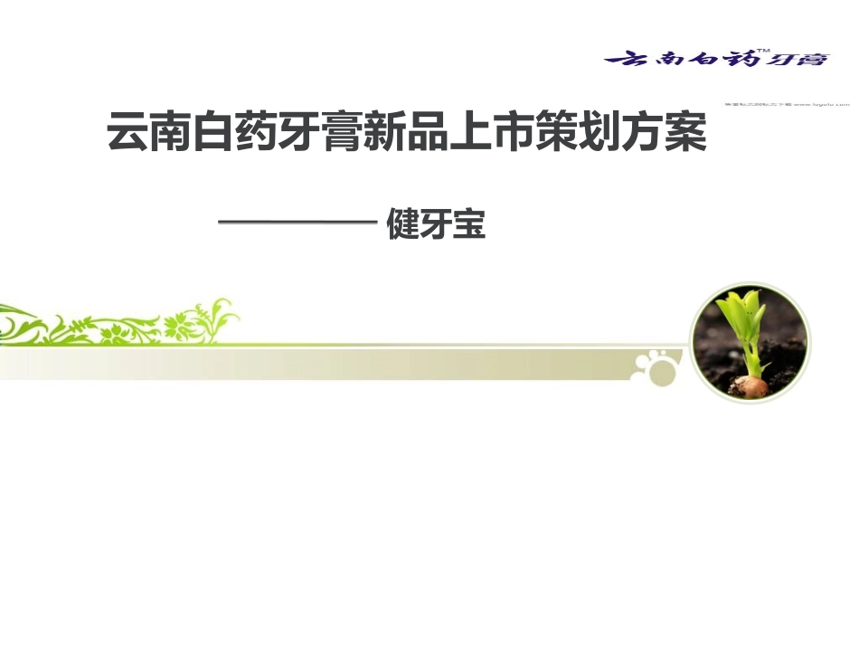 云南白药牙膏新品上市PPT精讲_第1页