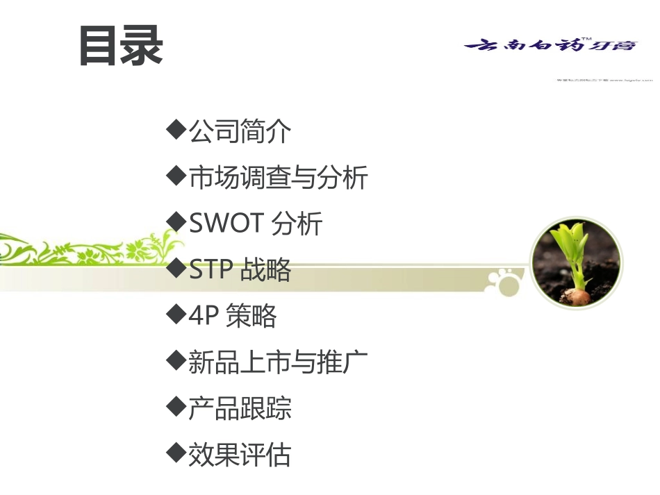 云南白药牙膏新品上市PPT精讲_第2页