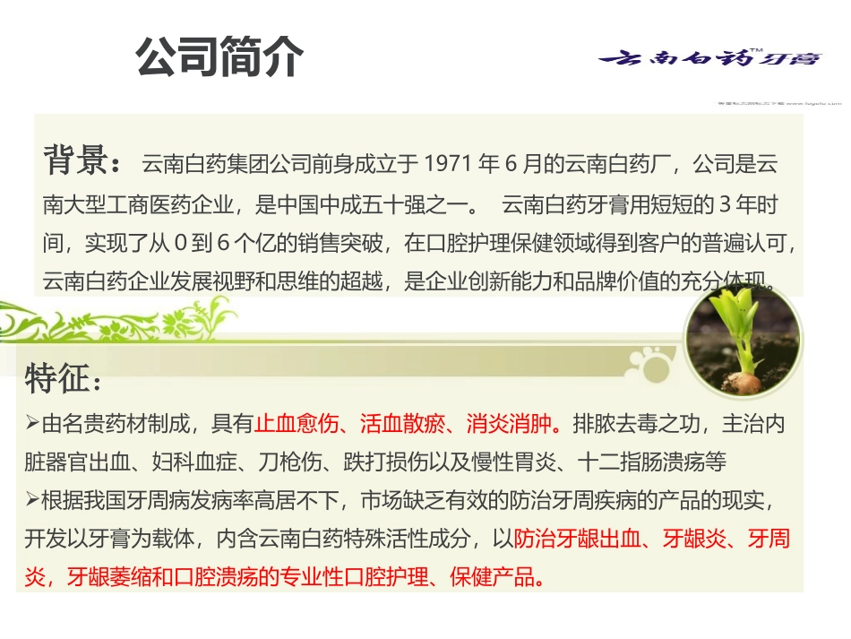 云南白药牙膏新品上市PPT精讲_第3页