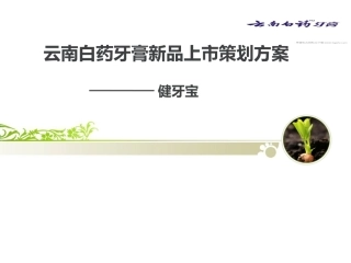 云南白药牙膏新品上市PPT精讲