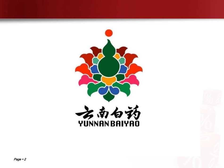 云南白药公司财报分析资料_第2页