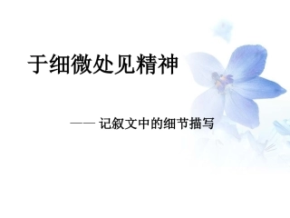 于细微处见精神细节描写概要