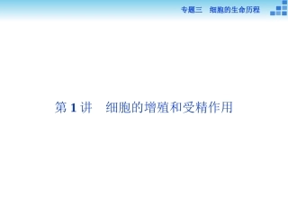 二轮复习-细胞增殖和受精作用