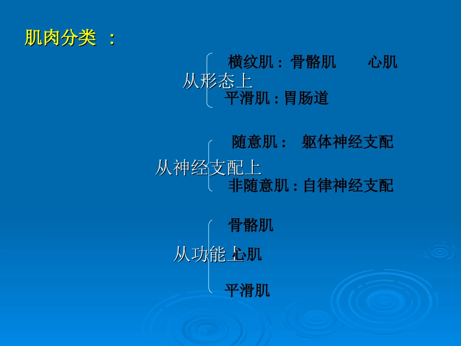 二章3肌细胞的收缩功能_第2页