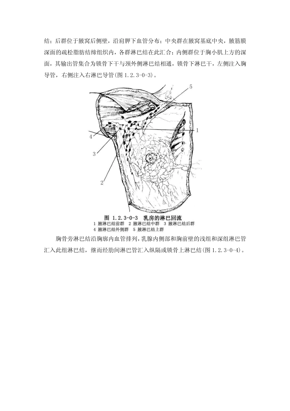乳腺癌根治切除术_第3页