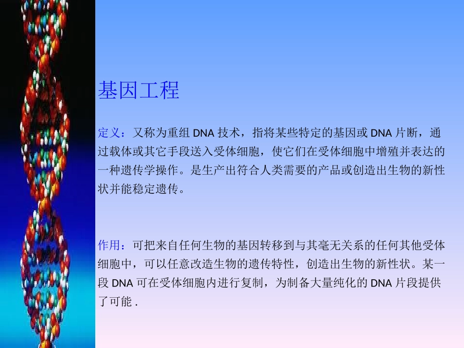 乙肝疫苗的制备_第2页