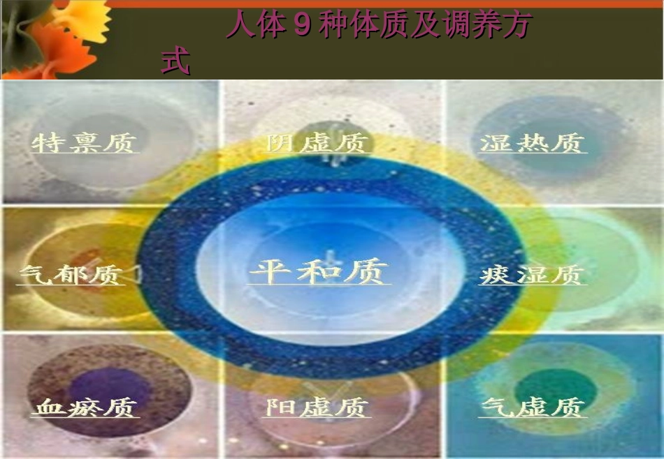 九大体质ppt._第2页