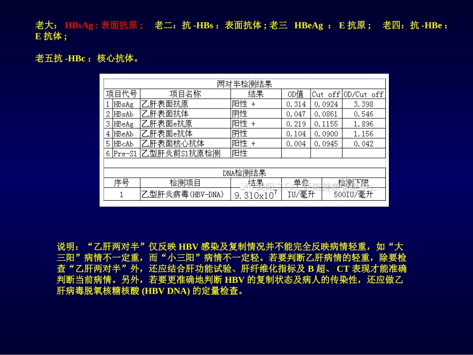 乙肝的基本知识_第3页