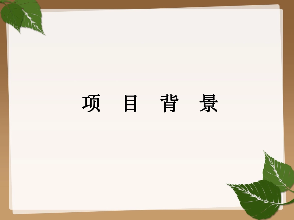 乙肝母婴阻断项目_第3页