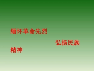 主题班会：缅怀革命先烈-弘扬民族精神