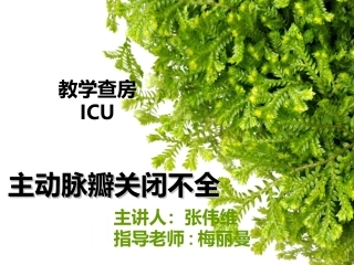 主动脉关闭不全.