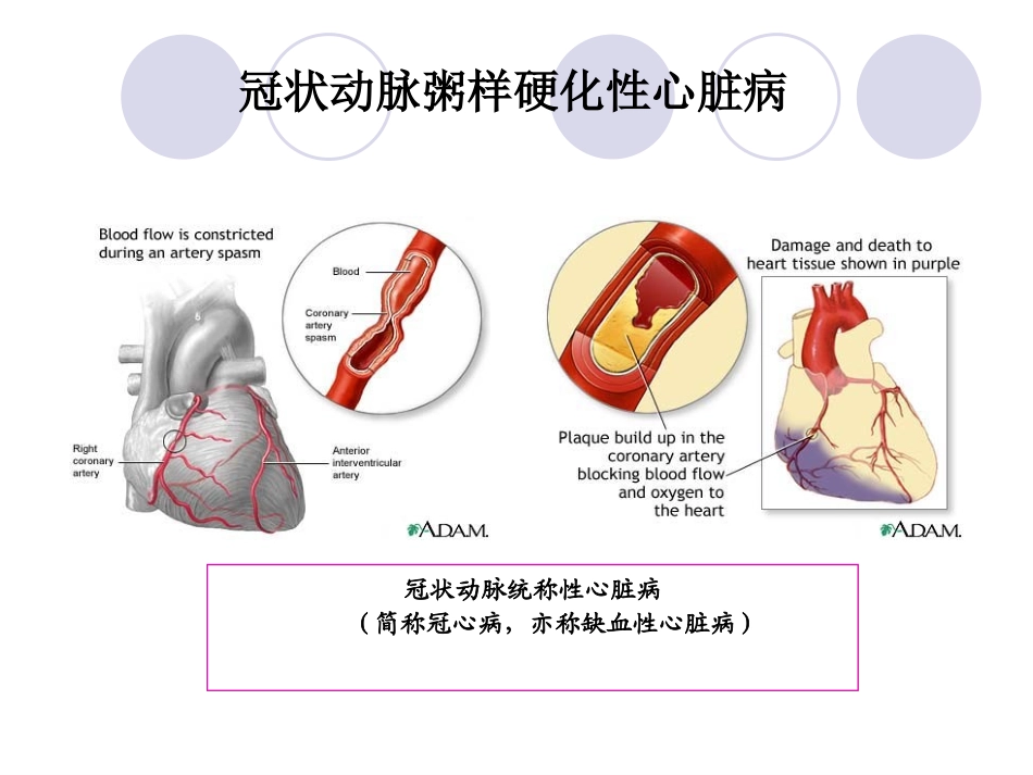 丹参多酚酸盐_第2页