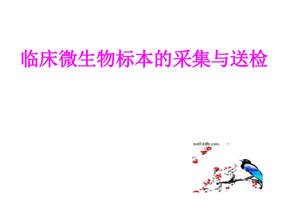 临床微生物标本的采集与送检2011.91_第1页
