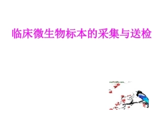 临床微生物标本的采集与送检2011.91