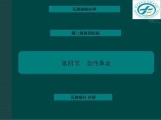 中西医结合耳鼻喉鼻炎