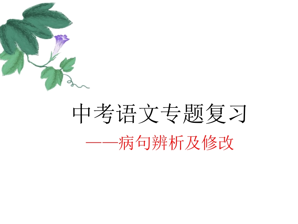 中考病句辨析与修改使用_第1页