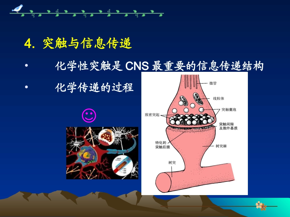 中枢药理-镇静、抗癫痫药_第3页